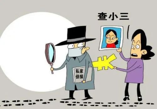 法官开庭前会看证据吗